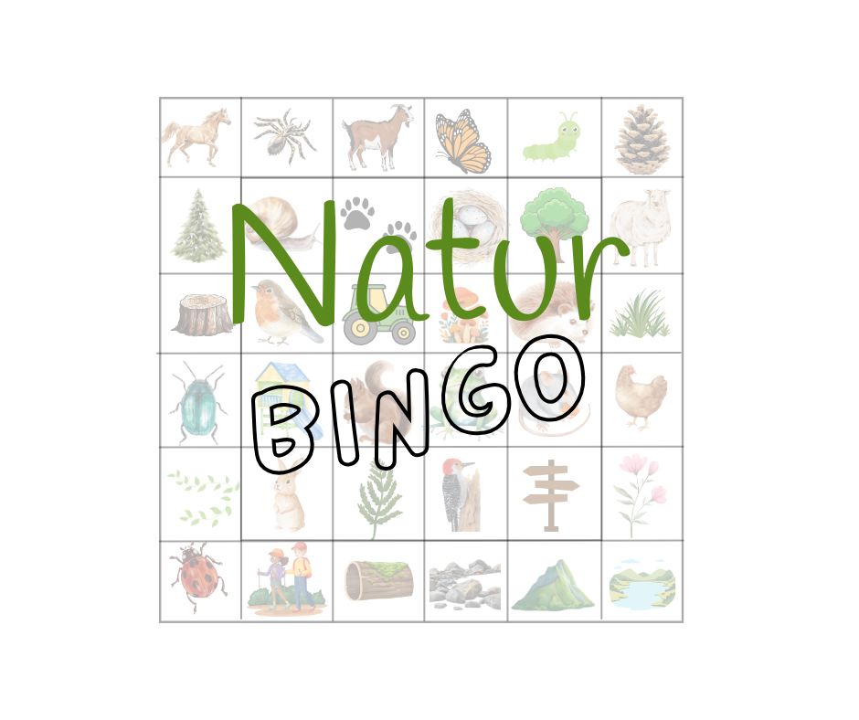EIn Natur-Bingo ist im Set auch enthalten