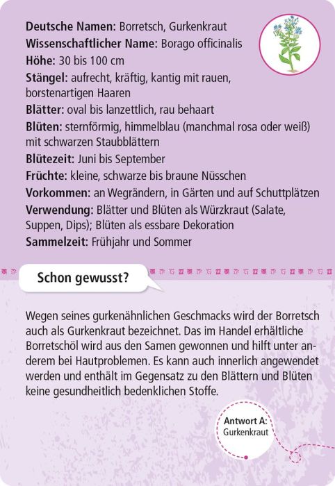 Beispiel-Karten aus dem Wildpflanzen-Set mit Illustrationen, Bestimmungshilfen und Verwechslungswarnungen.