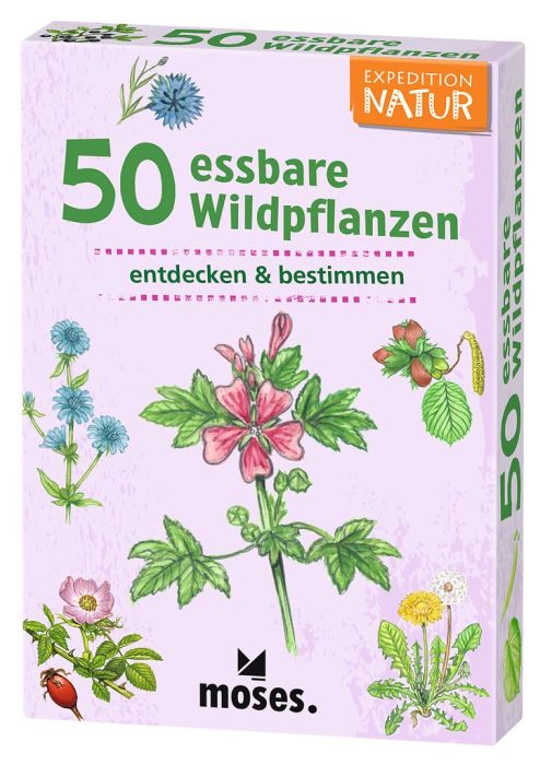 Kartenset 50 essbare Wildpflanzen für Kinder zur Pflanzenbestimmung Lurchilu Online-Shop.