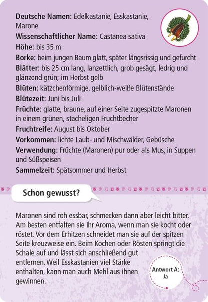 Kartenset 50 essbare Wildpflanzen von Carola von Kessel für Kinder – Frontansicht Verpackung.