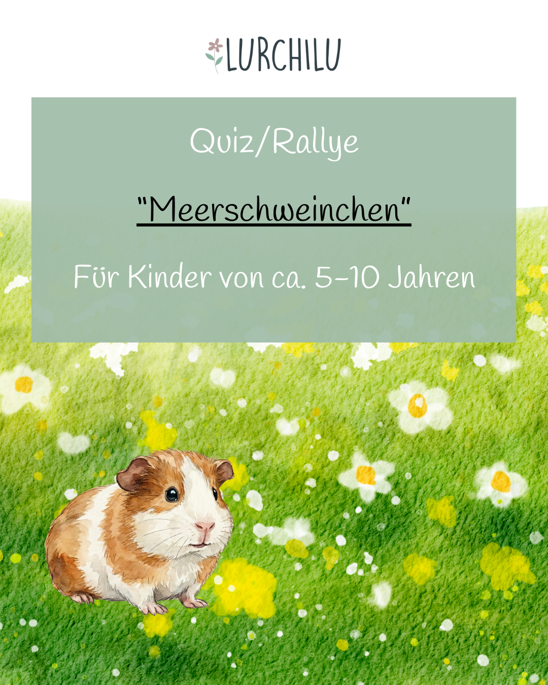 Meerschweinhen-Rallye zum Ausdrucken und sofort loslegen für zu Hause