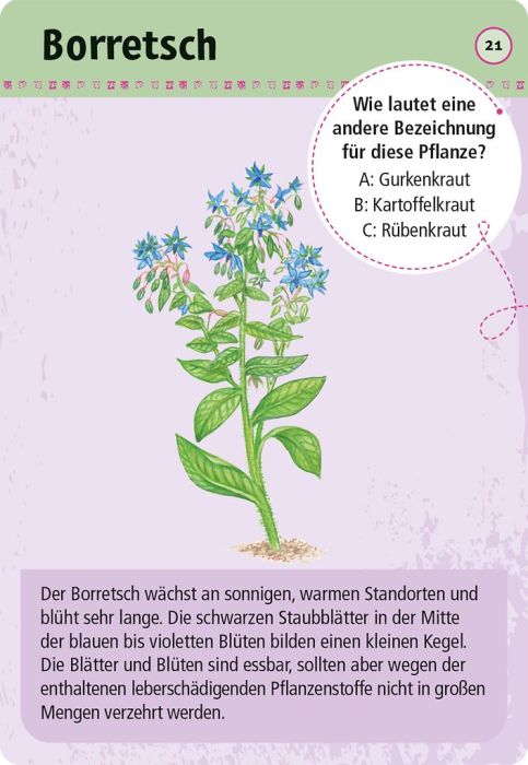 Das Titelbild zeigt die ansprechende, farbenfrohe Verpackung des Kartensets mit Illustrationen heimischer Kräuter auf hellem Hintergrund.