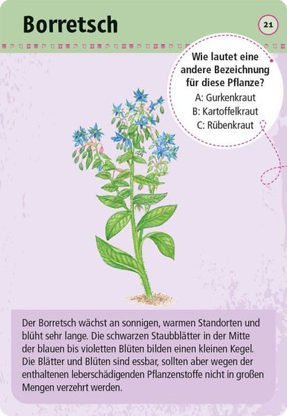 Das Titelbild zeigt die ansprechende, farbenfrohe Verpackung des Kartensets mit Illustrationen heimischer Kräuter auf hellem Hintergrund.